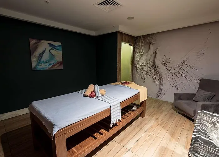 بارك إن باي راديسون آسيا كافاسيك 4*